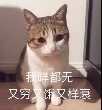 硬核科普,十二生肖中为什么没有猫
