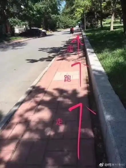 表情这个麻将味道不太行不对,你这鸭肠怎么杠了节操睡了表情