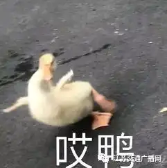 快了油价又要......
