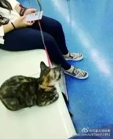 地铁,才是一座城市国人素质卸妆的素颜
