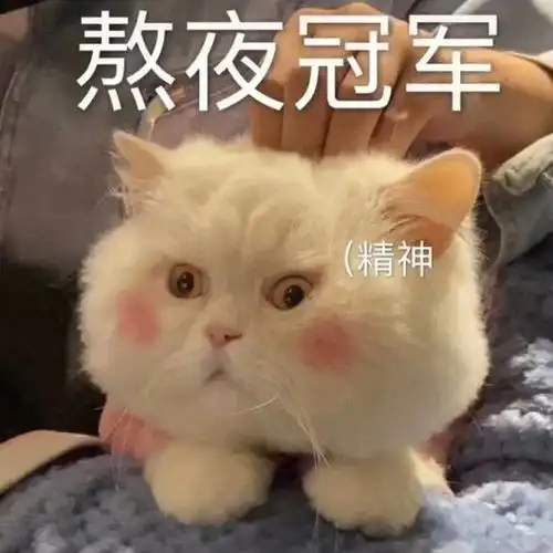 笑话十条出差去外地,在机场门口遇到一老外问我高铁站怎么走
