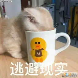 你的四级头兄弟表情包网恋选我我超甜表情包下载乐游网游戏下载
