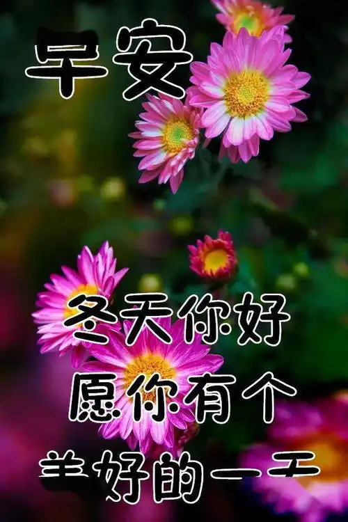 12月7日最漂亮早上好动态表情图片大全,早晨好动图美图大全
