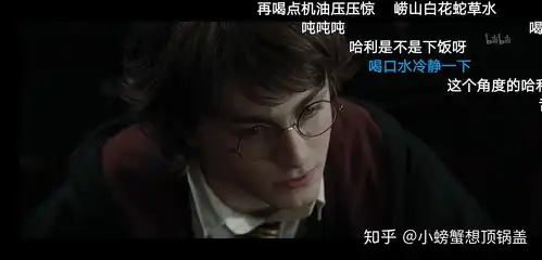 b站哈利波特有哪些有趣的弹幕
