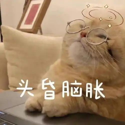表情包我今天也是可爱到爆了耶
