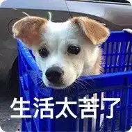 今日份表情包笑了
