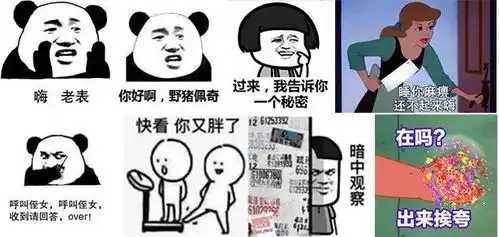 微信和女生聊天,发哪种表情包好
