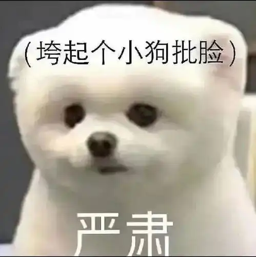 画手应该叫做太太还是大大

