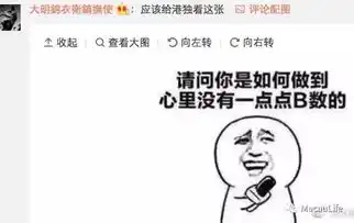 前港中大学生会长爆粗狂喷撕海报女侠,这素质是也能当会长
