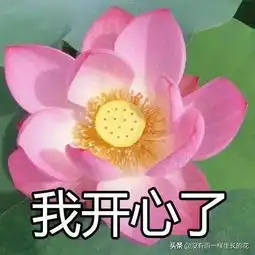 女生说滚时男生该怎么办

