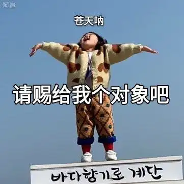 表情包苍天呐,请赐给我个对象吧
