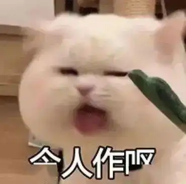 抖音热门表情包
