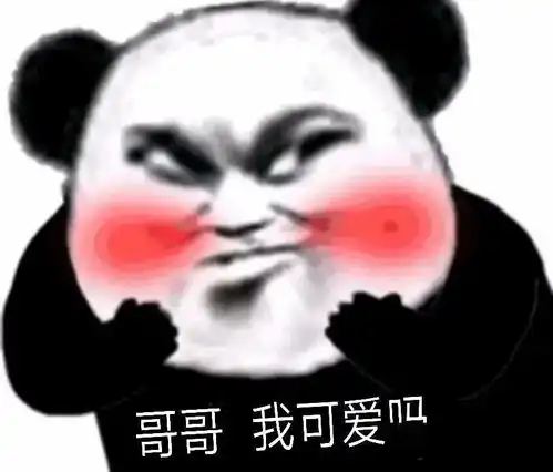 今日份表情包
