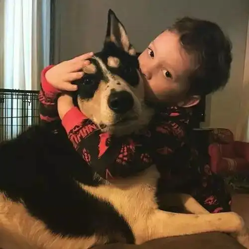 潮闻这个表情包男孩以假笑出名,他叫gavinthomas
