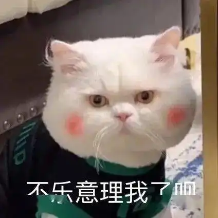 表情包这样聊天的女生太可爱了

