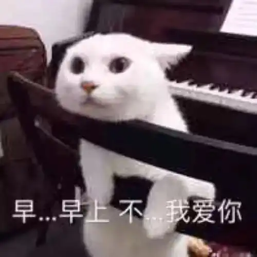 猫图第二波表情包自取
