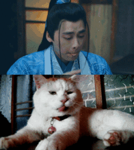 当猫咪成了你的男朋友...真是一边巨开心一边想跳楼
