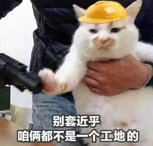 表情包醒了没有,起来打工了
