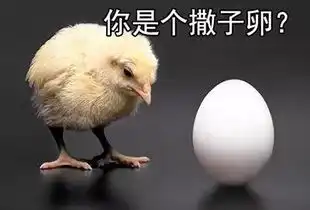鸡年要用对的表情包,重庆言子版鸡年表情包爆笑来袭
