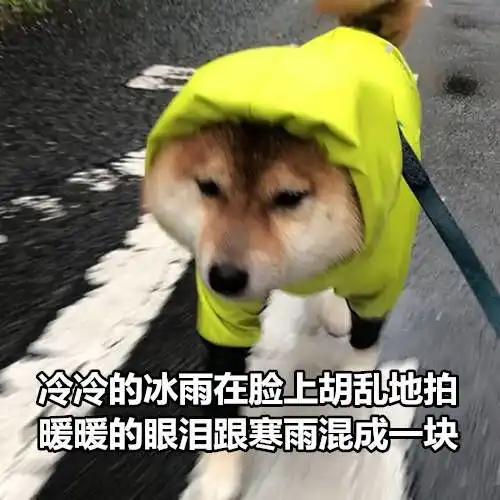 牛姐下去了吗有进去前60吗
