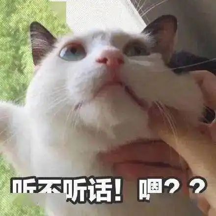 百日行动全市联合全警出动这里公安又有大动作,将重点整治这些行为......
