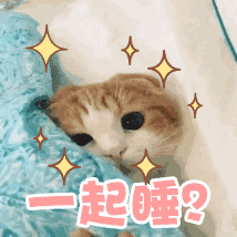 超萌哄老公无水印表情包
