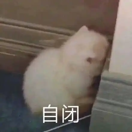 表情包
