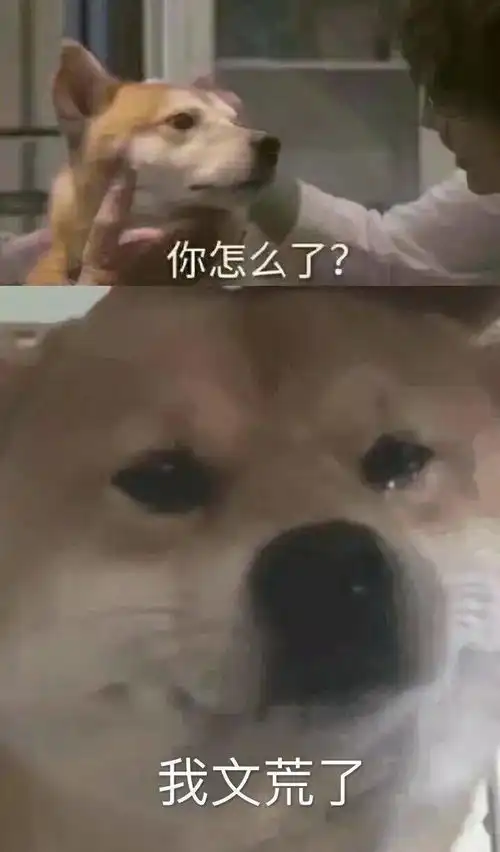 以前看文vs现在看文vs现在看文的状态沙雕第八弹
