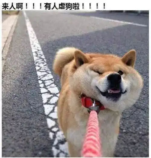 妻子怀孕,他要全小区把宠物送走网友你家有皇位继承