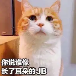 一张猫的表情包,配字是你说谁像长了耳朵的jb
