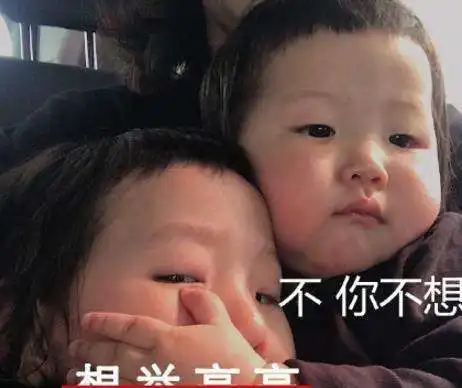 不,你不想是什么意思内涵出处
