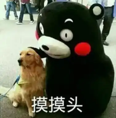 微信最强更新微信号终于可以改名隐藏功能拍一拍,你玩了吗
