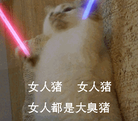 抖音表情包动图荧光棒打call,荧光棒的猫咪
