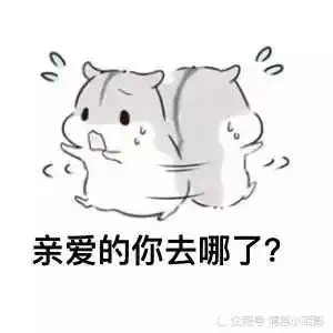 仓鼠表情包早上好吖宝宝
