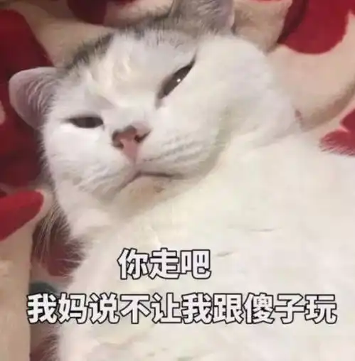 孟晚舟被捕事件背后加拿大抱着烫手山芋,不知该扔给谁
