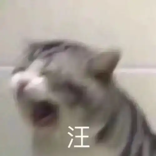 小动物表情包006

