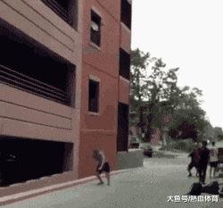 搞笑gif段子14很多人都吃过,但你肯定不知道这就是银耳
