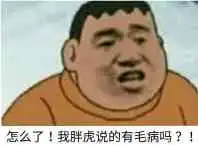 胖虎
