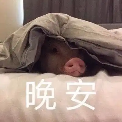 直播公会加盟直播十大公会全网直播公会入驻yy公会
