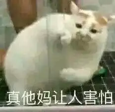林青霞的相册表情包台词截图
