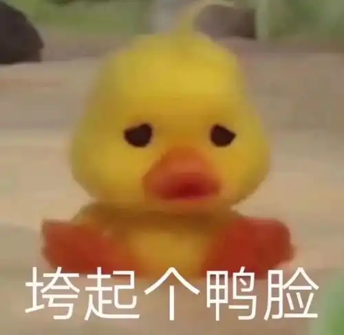 老是困在过去怎么办
