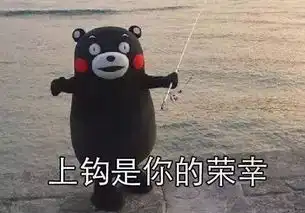 贷款怎么这么难,总差临门一脚因为你从搜索开始就被骗了

