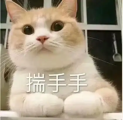 猫咪表情包,好可爱,我心都要化了
