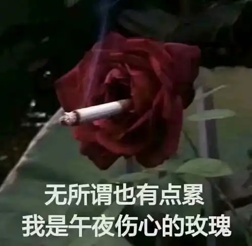 我想要修改意见
