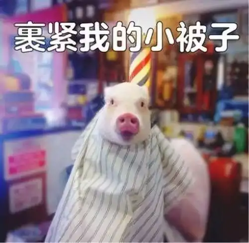 您的冷空气正在派送中,请注意查收

