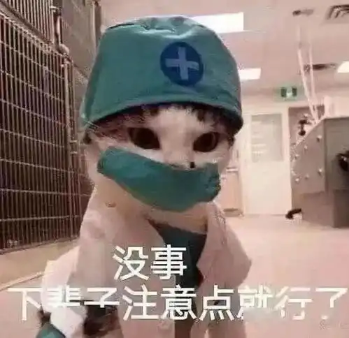 每日精选沙雕表情包
