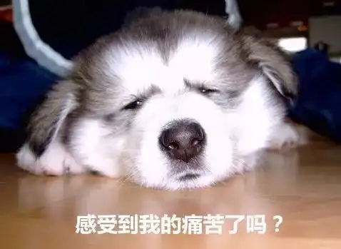 春节好累,终于能上班了

