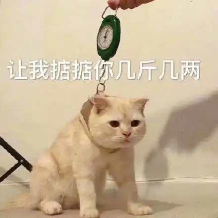 今日份的搞笑可爱表情包已送达
