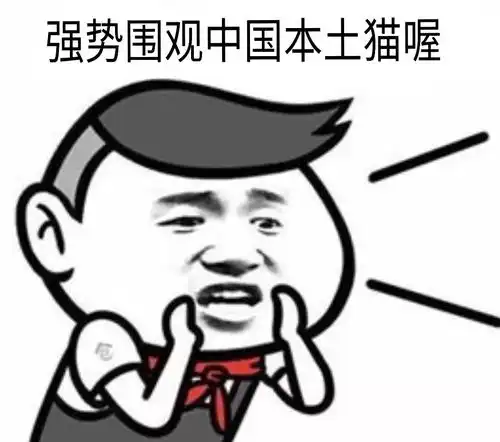 吃饼干套路图片表情包土