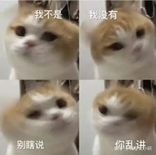 2022年欢乐考研小白,该如何开始第一天的复习
